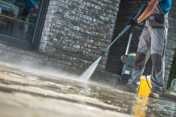 Best Gutter Cleaning  in Lake Cherokee, TX